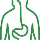 Acupuncture for digestive issues, gut health, and gastrointestinal disorders